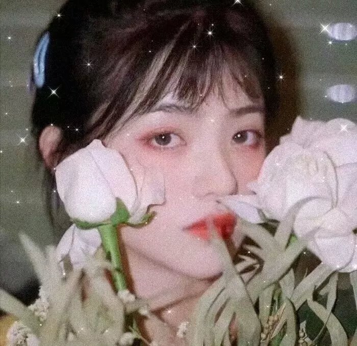 宝米恰恰